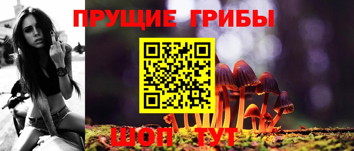 Шуя  Галлюциногенные грибы прущие грибы  где можно купить наркотик  Вход с VPN 